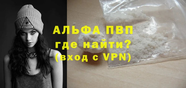 шишки Верхний Тагил