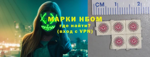 шишки Верхний Тагил