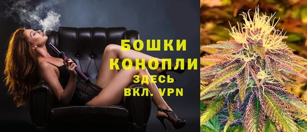 шишки Верхний Тагил