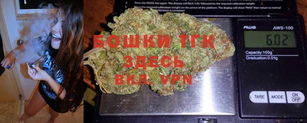 шишки Верхний Тагил