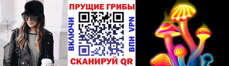 Галлюциногенные грибы Psilocybe  KRAKEN tor  Павлово 