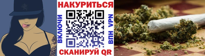 Конопля гибрид  Павлово 